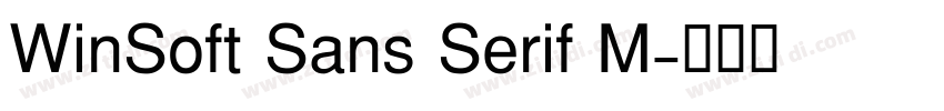 WinSoft Sans Serif M字体转换